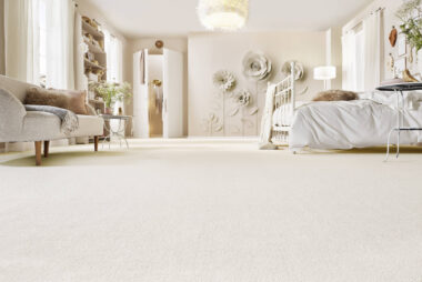 md_tep_deluxe_balance_parlament_69_rau_fro