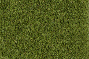 sm_tep_kunstrasen_holiday_elba_30_mus_retusche2