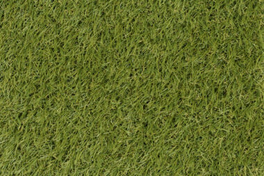 sm_tep_kunstrasen_holiday_korfu_25_mus